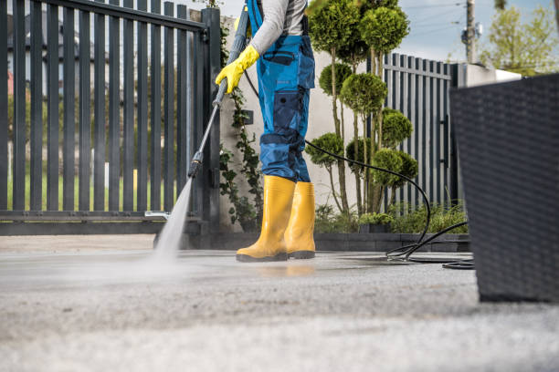 Best Building Exterior Washing  in Porter Heights, TX